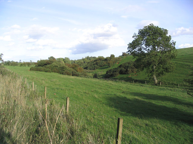The Southern Pasture